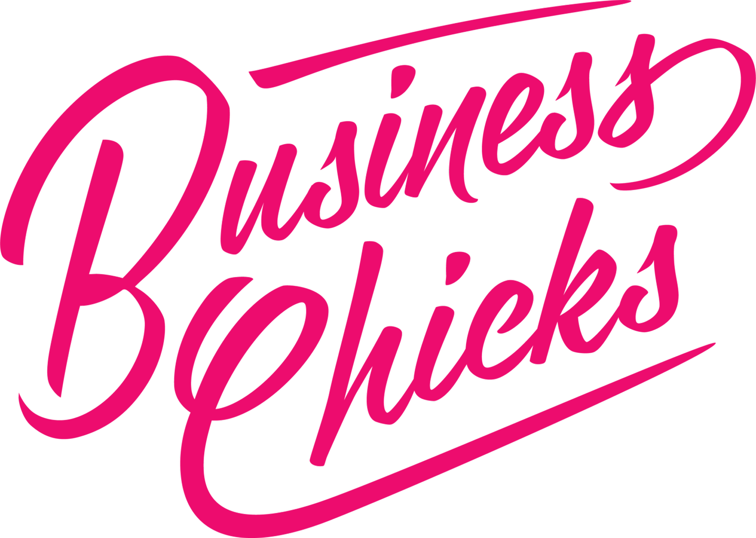 Business Chicks